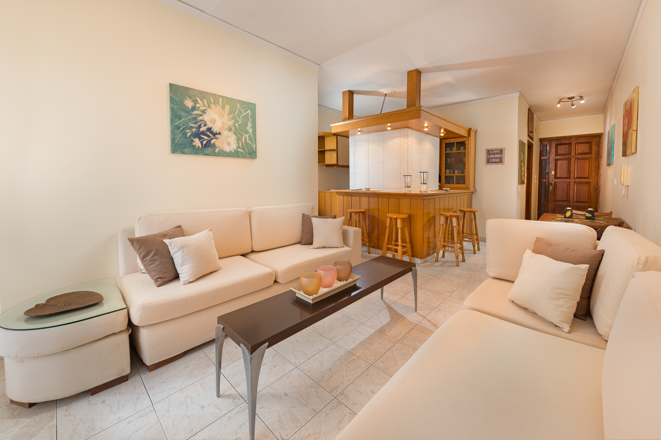 Bright living room with two modern sofas